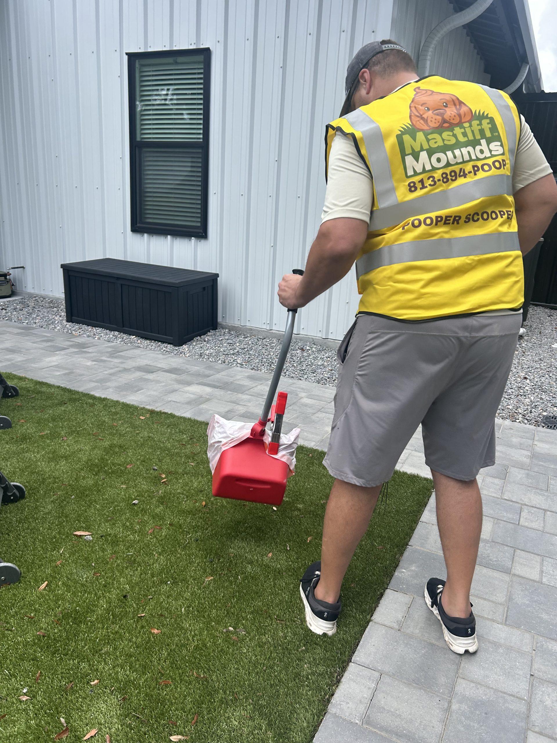 Residential yard detail before a Mastiff Mounds cleanup
